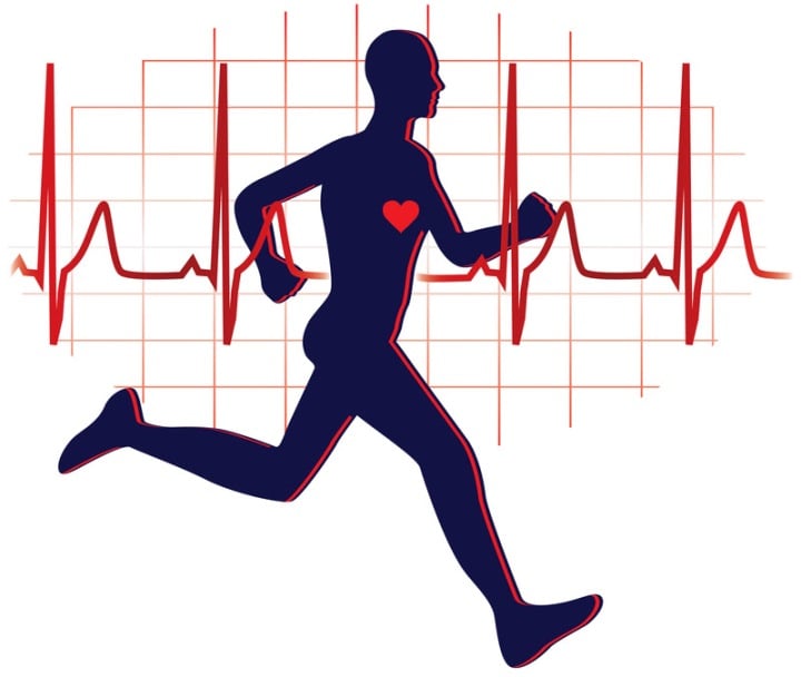Exercise and cardiovascular health
