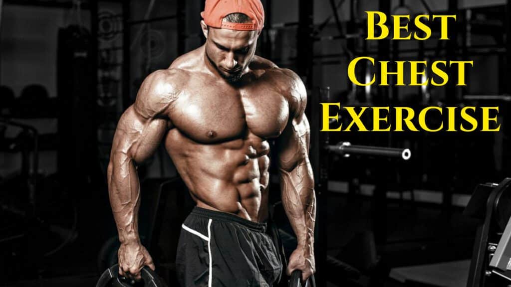 The Ultimate Guide To Chest Exercises Top Workouts