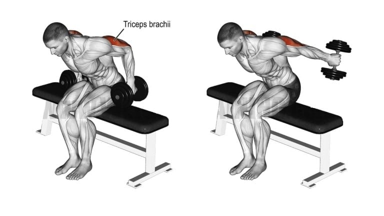 Seated bent-over two-arm dumbbell kickback