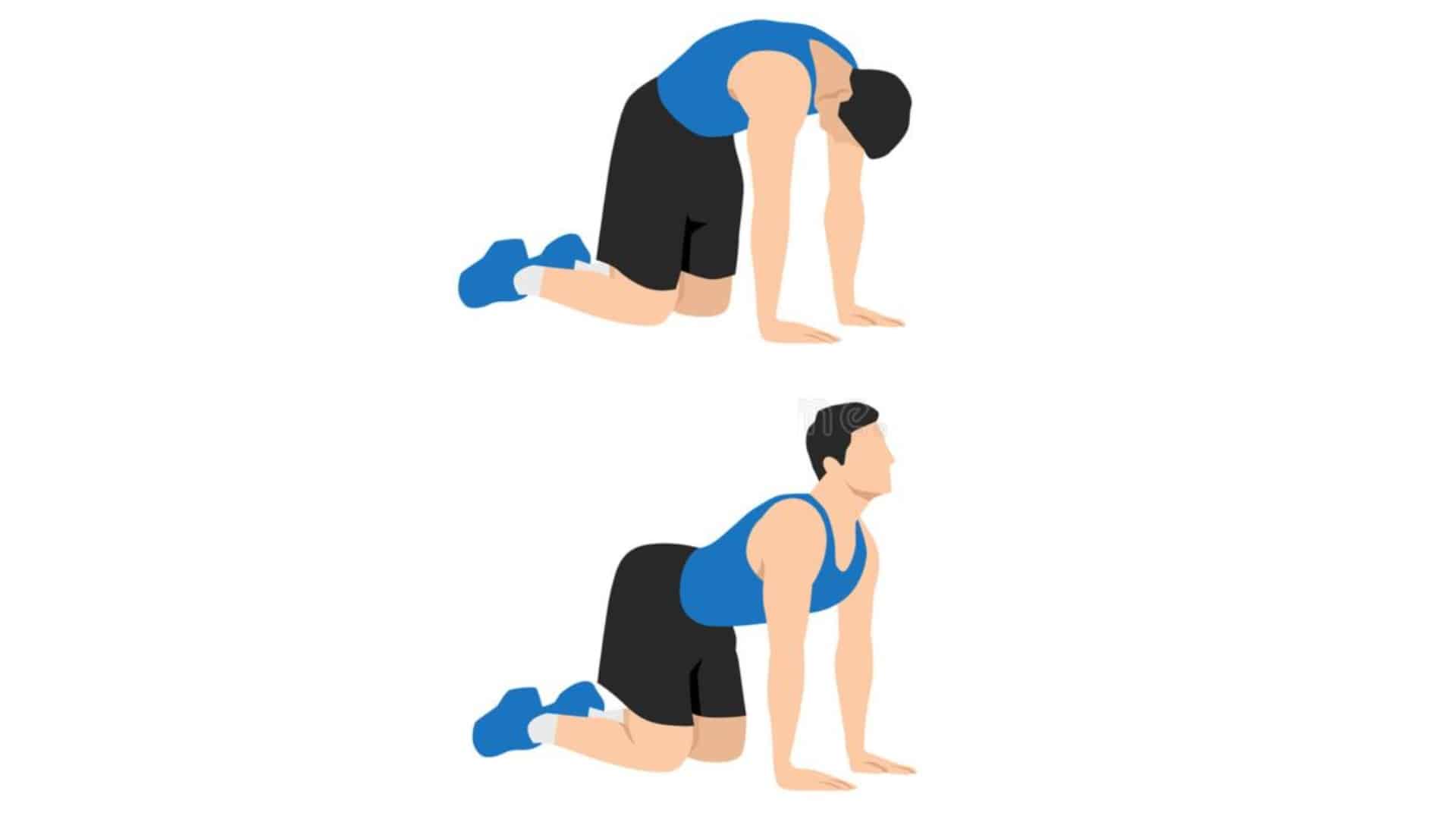 Best Bodyweight Back Exercises To Build Mass And Strength