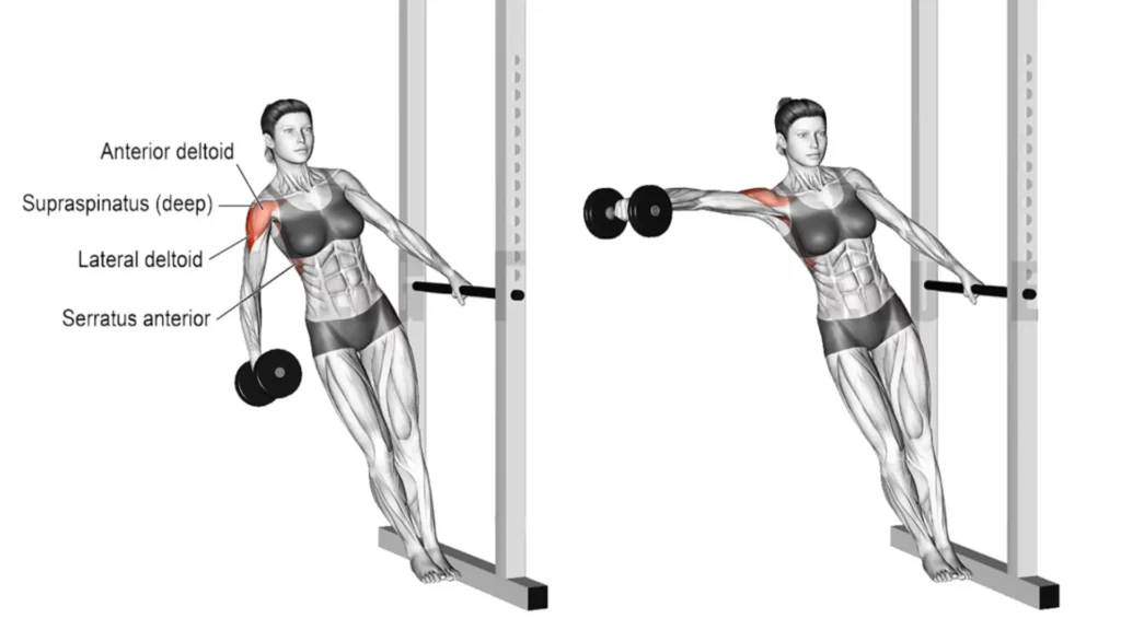 Leaning Dumbbell Lateral Raise