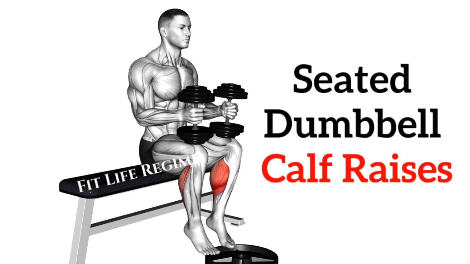 Seated Dumbbell Calf Raise How To Do And Tips