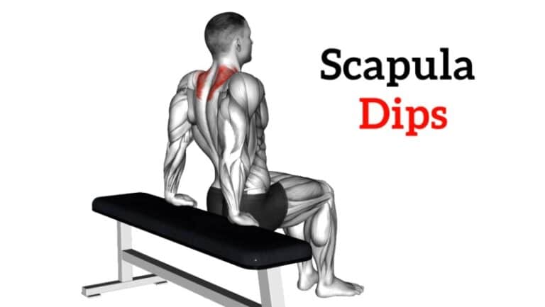 Scapula Dip How To Do Muscles Worked Benefits