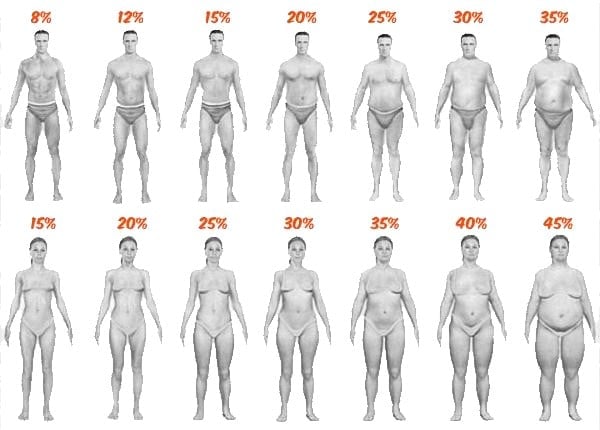 The Visual Guide To Understanding Body Fat Percentage