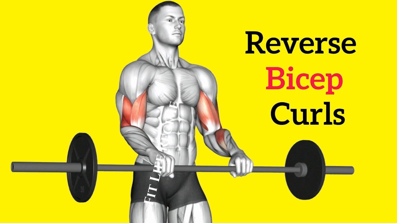 5 Best Ways To Do Reverse Curl To Build Bigger Arm