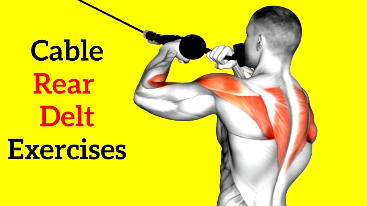 6 Best Rear Delt Cable Exercises for Bigger & Stronger Shoulder