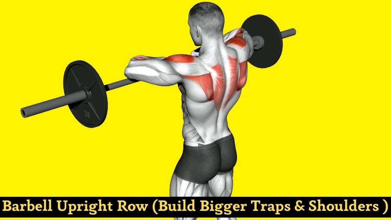 Barbell Upright Row (Build Bigger Shoulder and Trap)