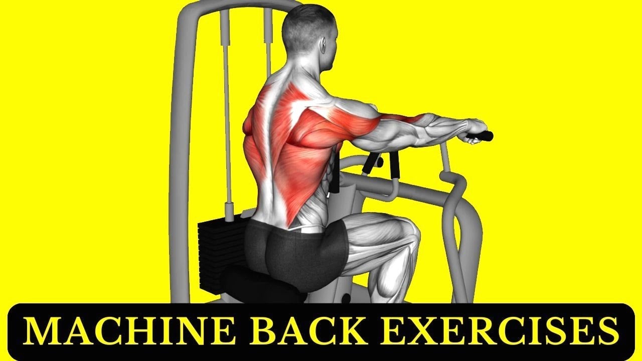 12 Best Machine Back Exercises To Build Mass and Strength