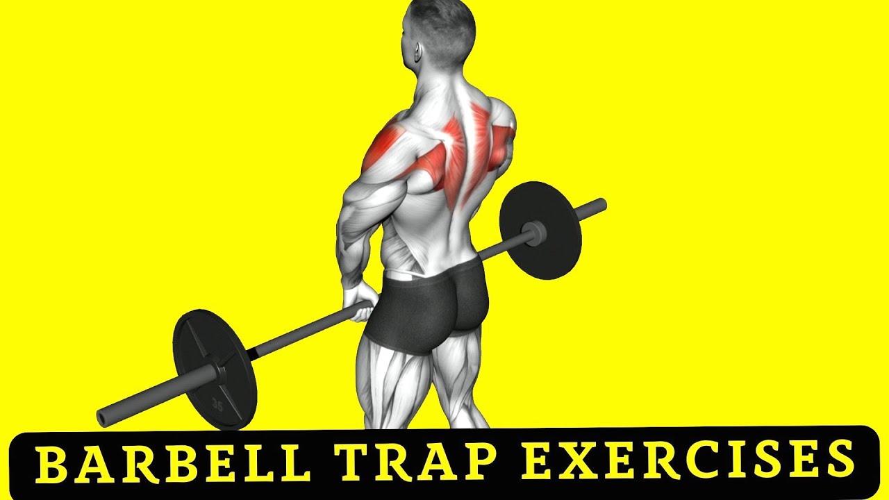 5 BARBELL Exercises for Traps You Need for a BIGGER Back