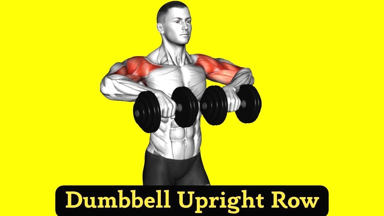 Dumbbell Upright Row: How To and Muscles Worked