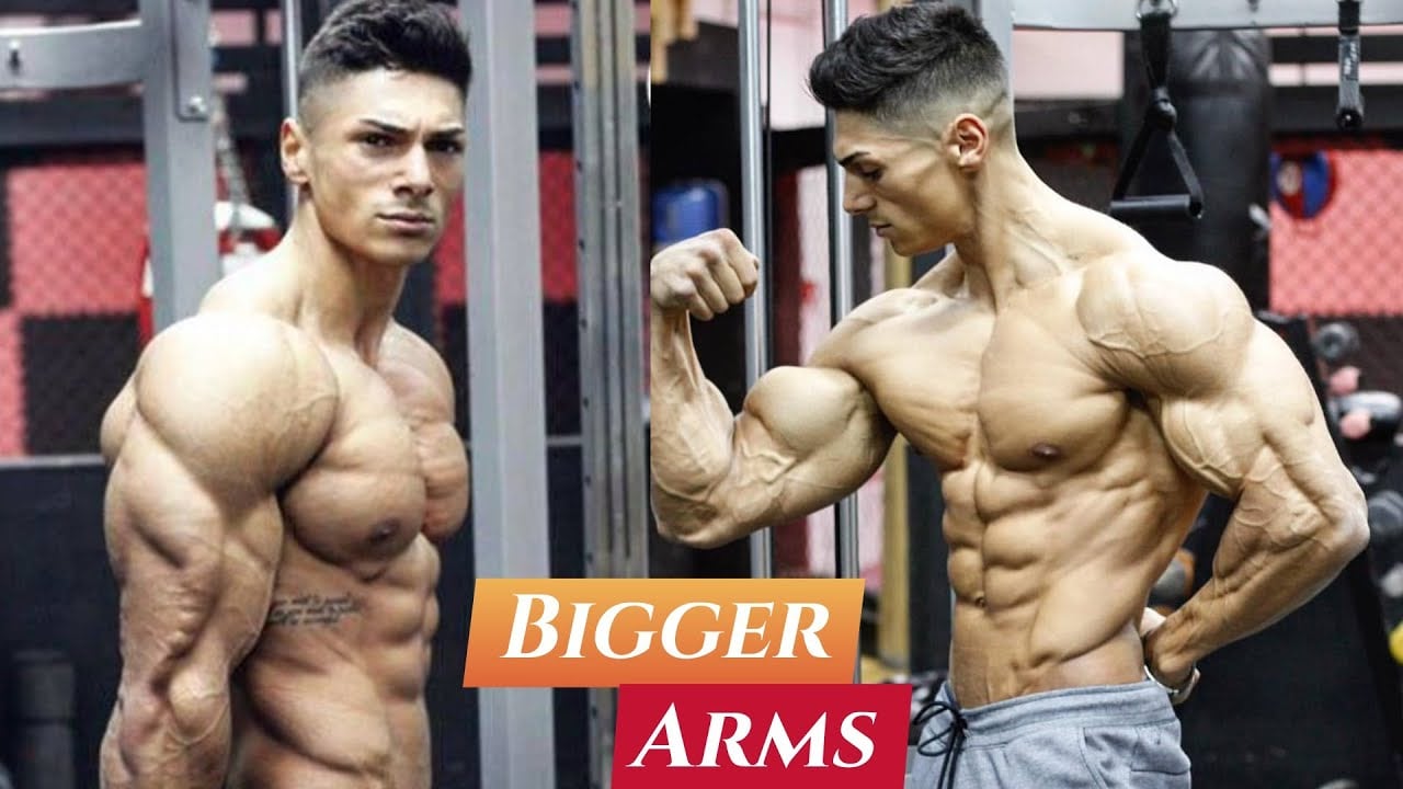 Andrei Deiu Best Arms Workout (With Anatomy)