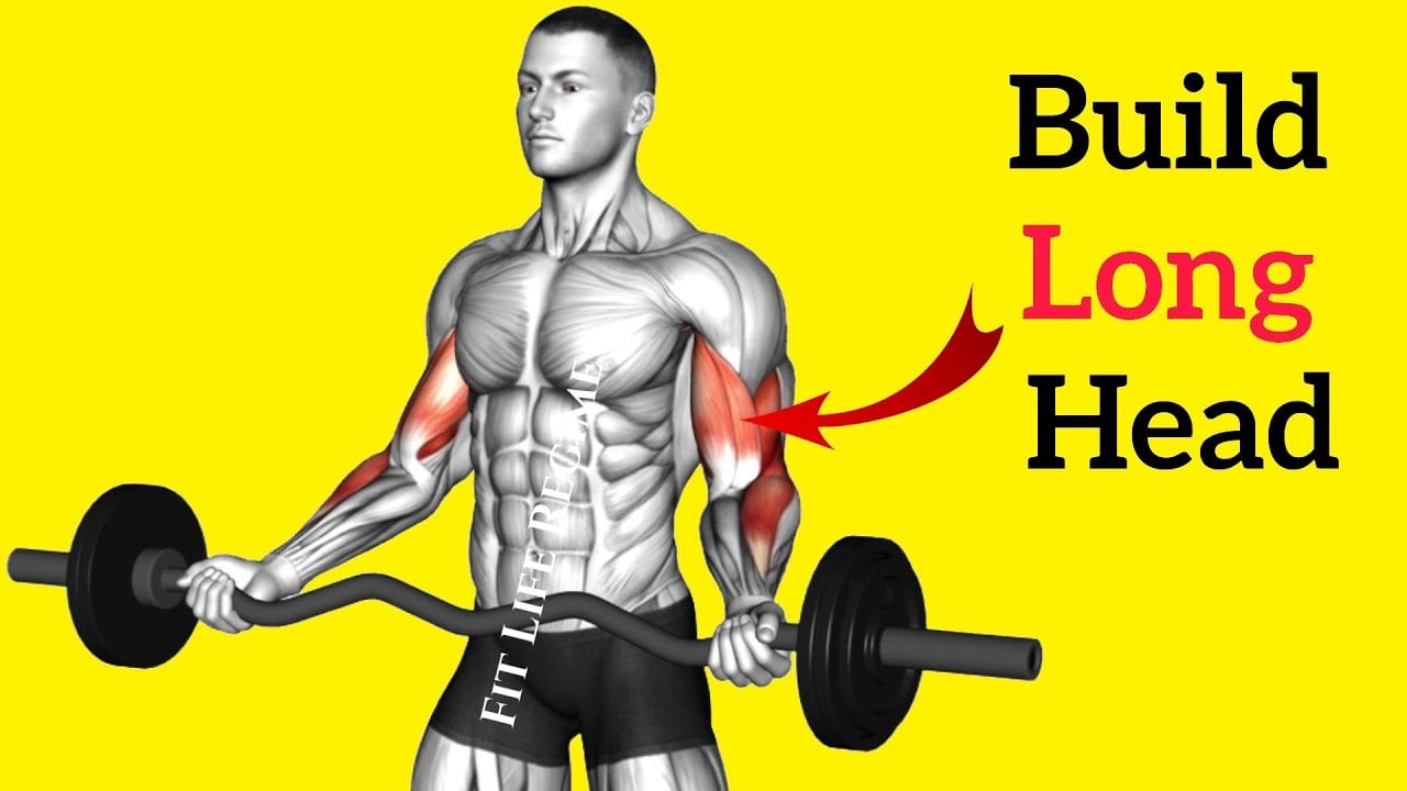 12 Most Effective LONG HEAD OF BICEP EXERCISES for Massive Peaks | Outer Bicep Workout