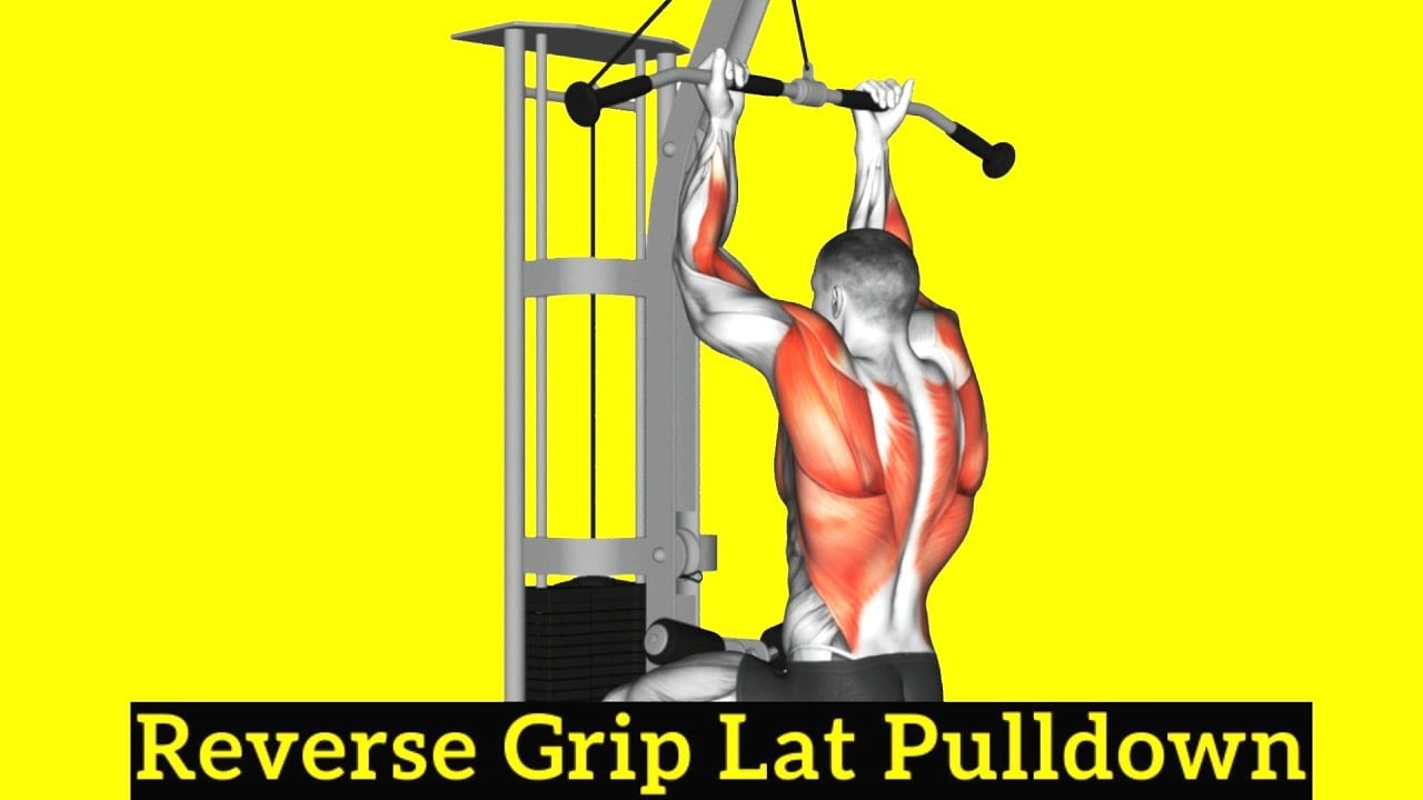 How To Do Reverse Grip Lat Pulldown (With Muscles Worked)