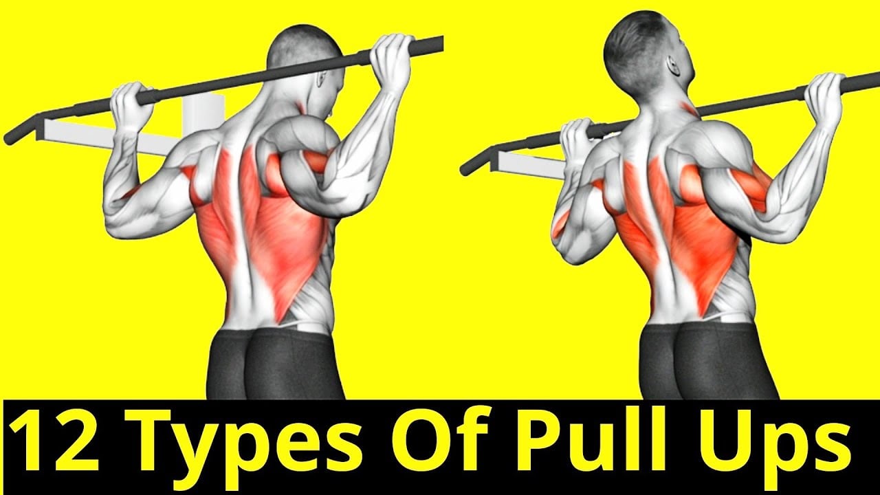 12 Different Types Of Pull Ups (Beginner to Pro Variations)