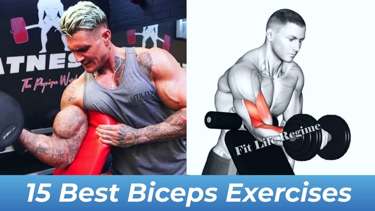 15 Best Biceps Exercises To Build Bigger and Muscular Arm
