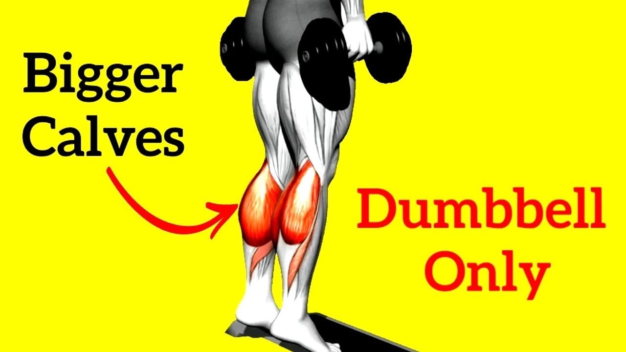 5 Best Dumbbell Calf Exercises That Help You Build Bigger and Stronger Calves