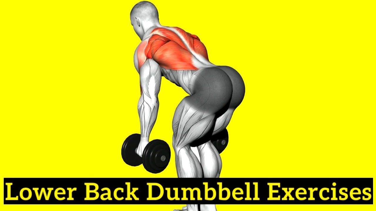 10 Lower Back Dumbbell Exercises for a Strong, Pain-Free Back
