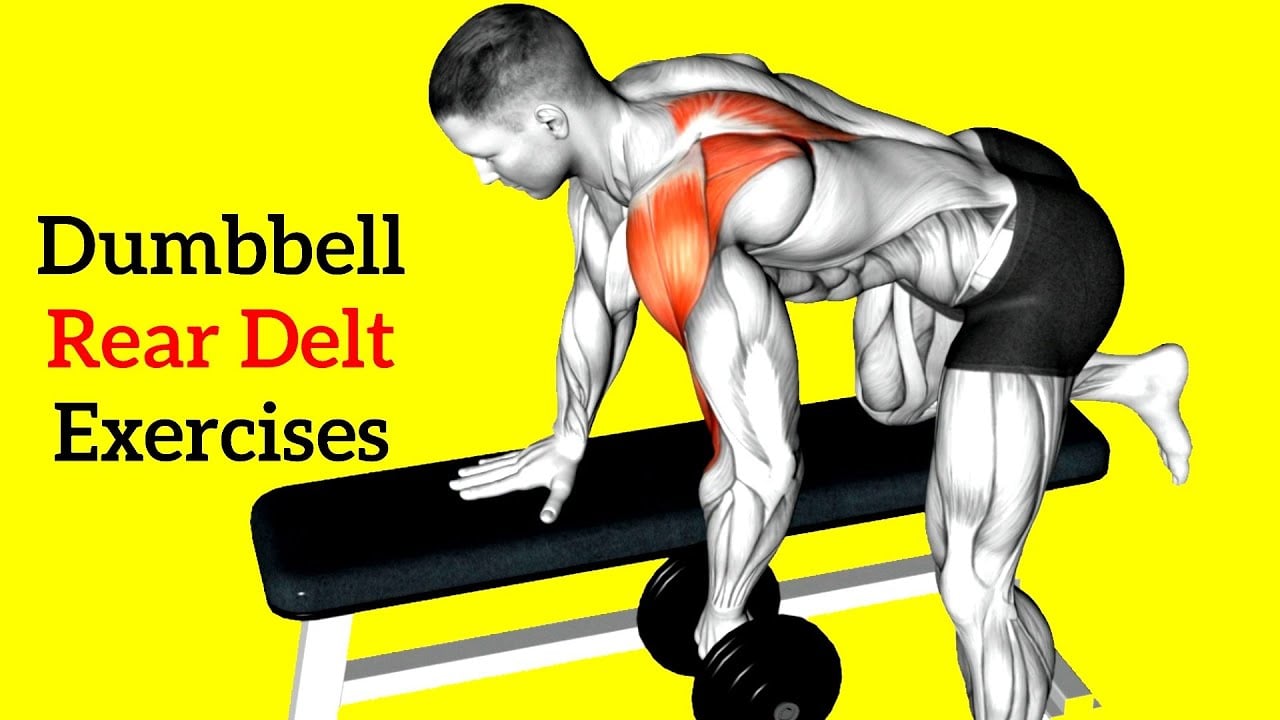 7 Best Dumbbell Rear Delt Exercises (For Stronger Shoulders)