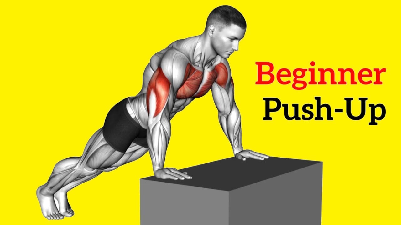 Beginner Push Up Exercises To Build Upper Body | Best Push Up Workout For Beginners