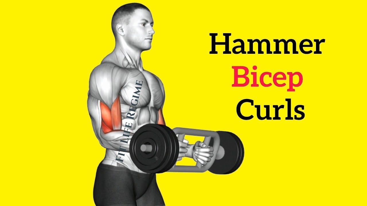 7 Amazing Ways To Do Hammer Curl (Best Variations)