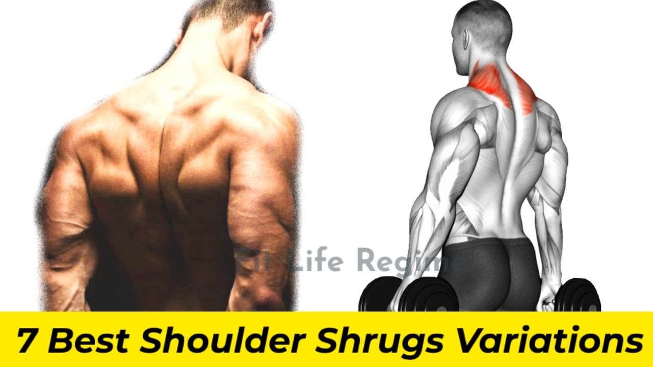 7  BEST SHOULDER SHRUG VARIATIONS FOR BIGGER TRAPS | SHOULDER SHRUG WORKOUTS