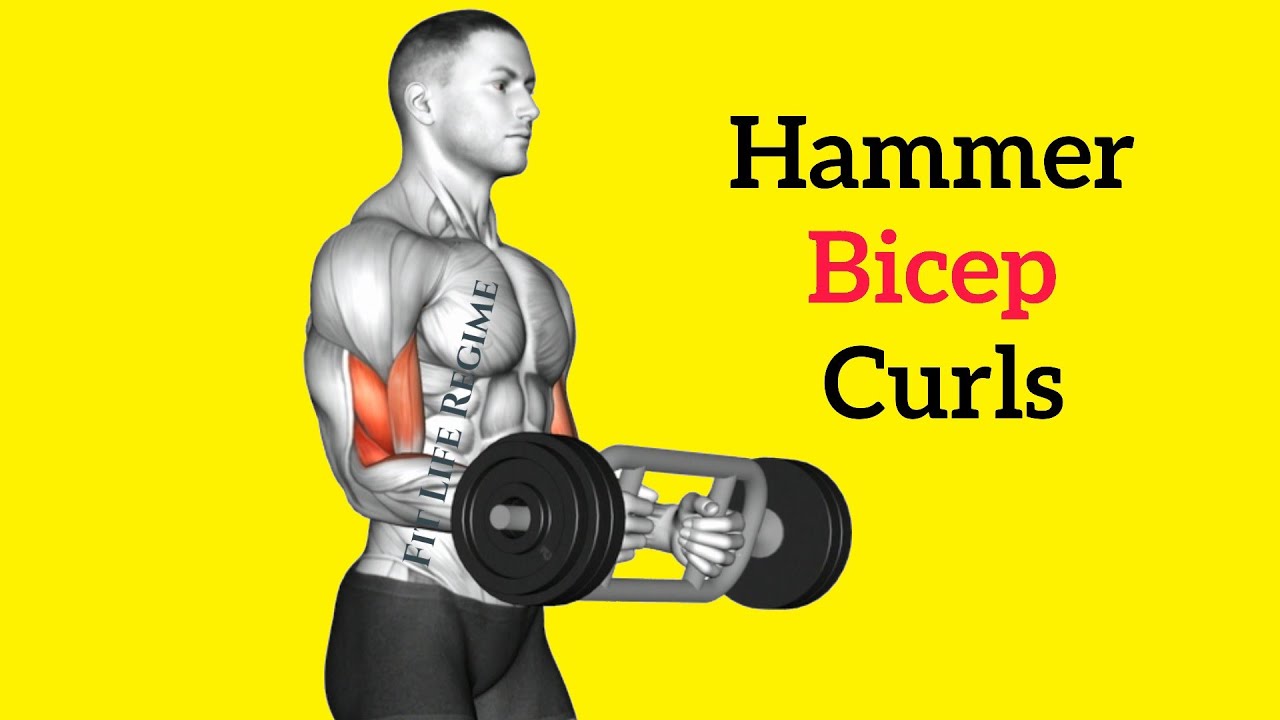 7 Amazing Ways To Do Hammer Curl (Best Variations)
