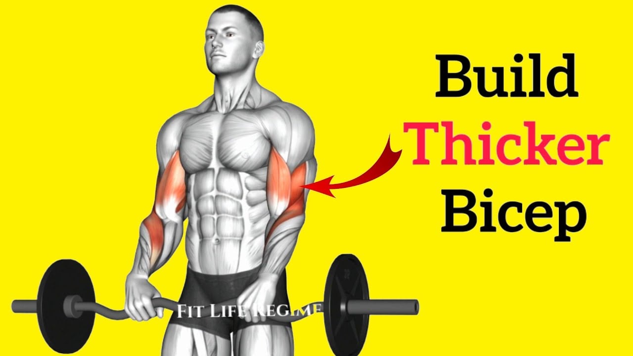 12 Most Effective BRACHIALIS EXERCISES for Thicker & Stronger Arms