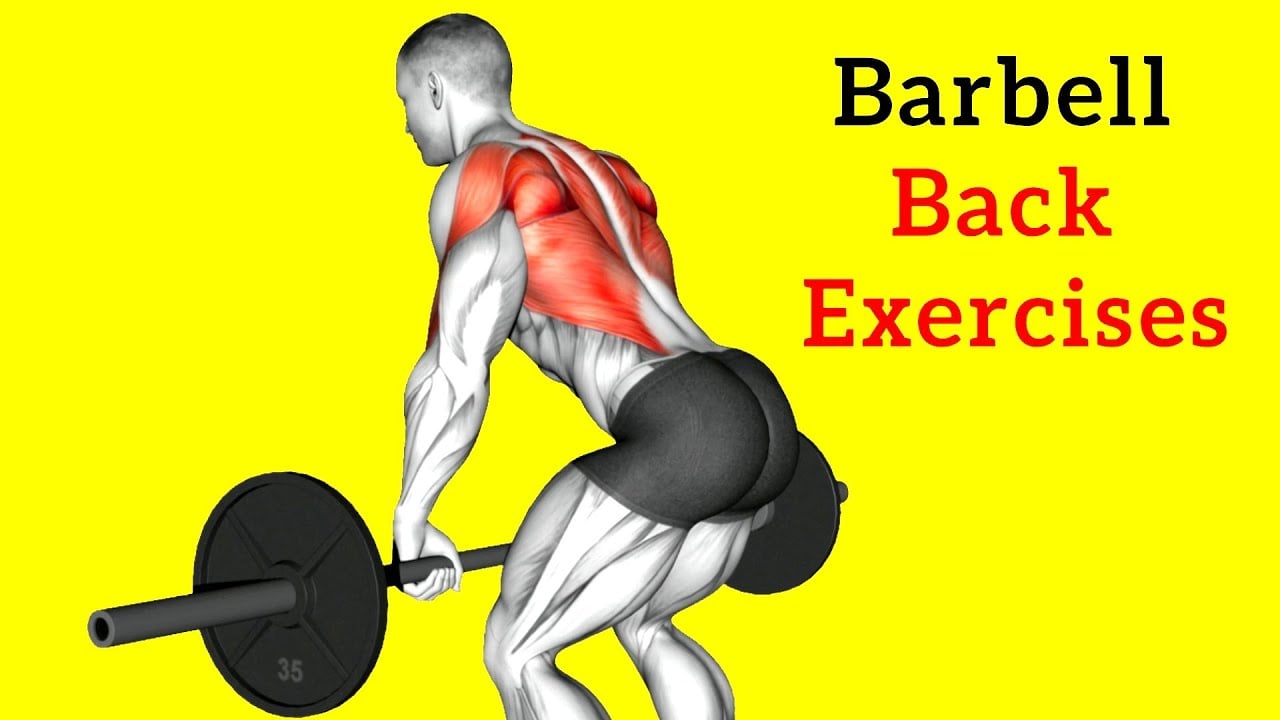 10 Best Barbell Back Exercises For Mass And Stronger  (Science-Based Workout)