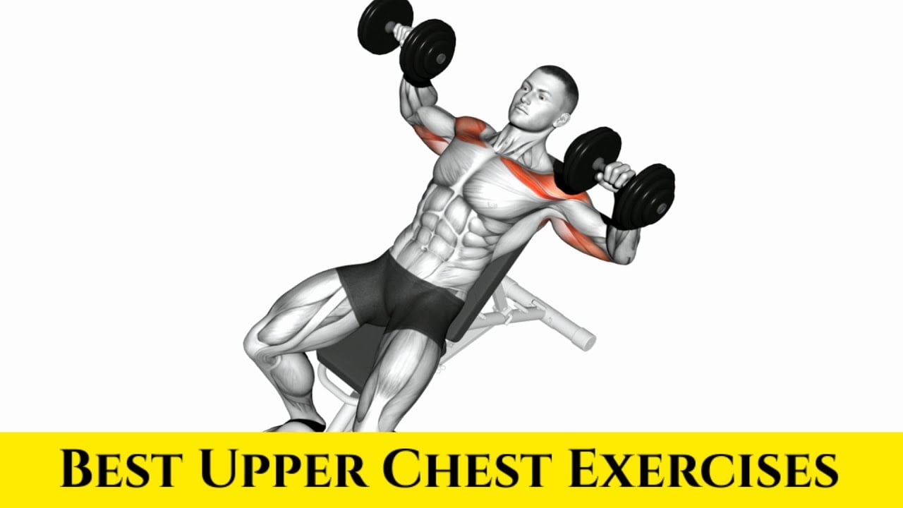 15 BEST UPPER CHEST EXERCISES FOR GETTING DEFINED PECS