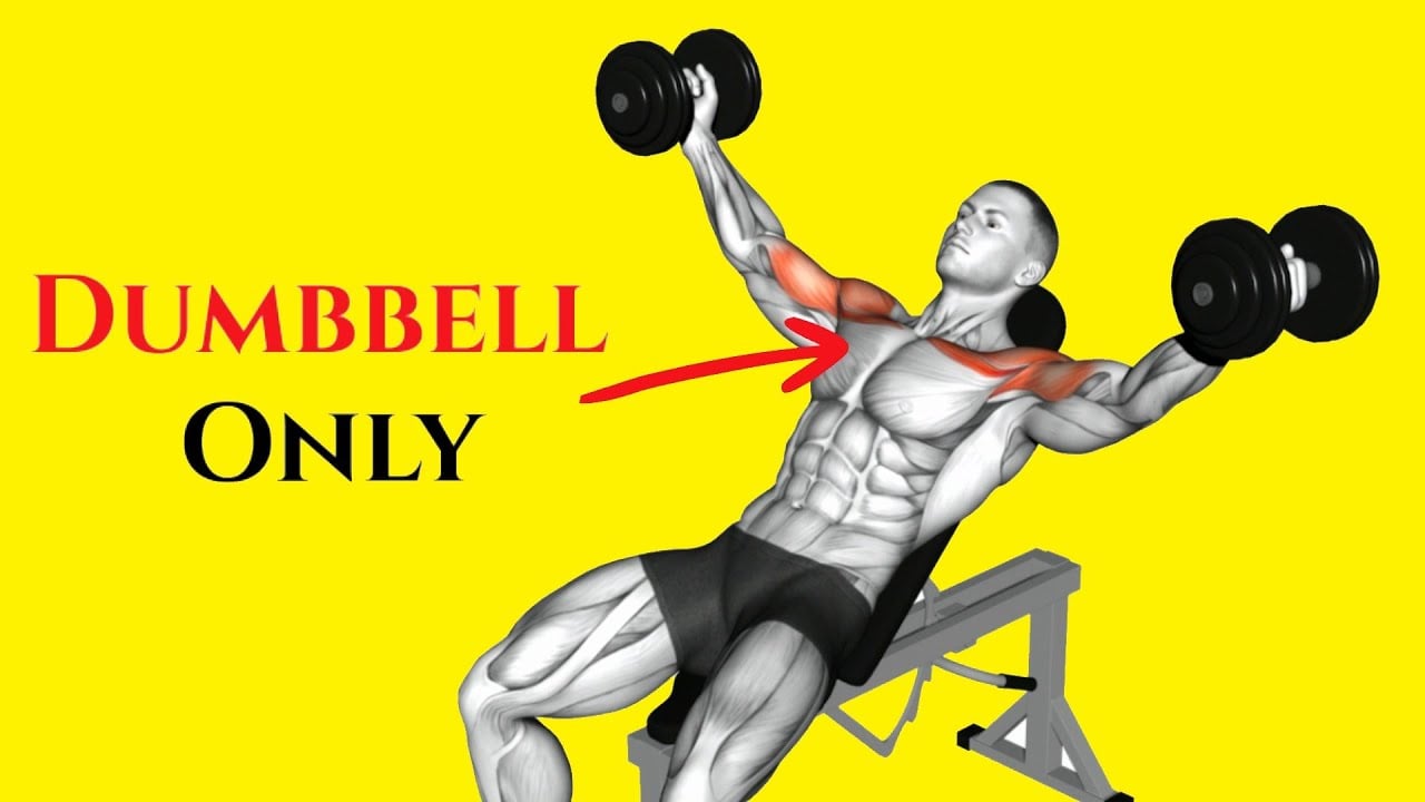 10 Best Upper Chest Dumbbell Exercises To Build Mass and Strength