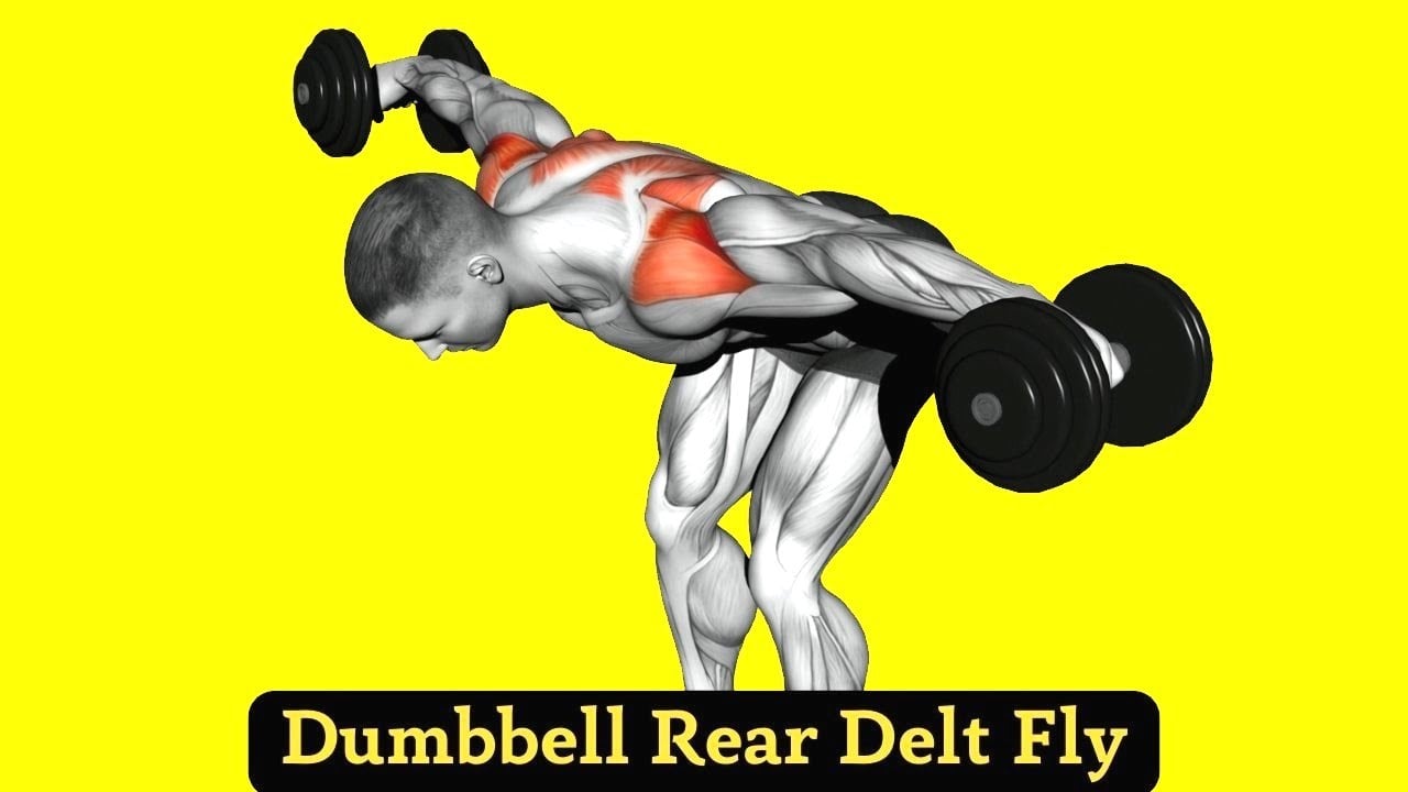 Dumbbell Rear Delt Fly (4 Variations to Build Rear Delts)