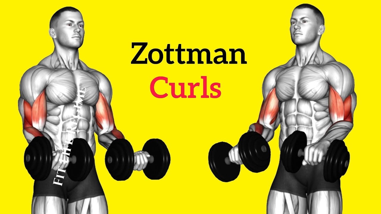 3 Most Effective Zottman Curl Variation To Build Bigger Bicep & Forearms
