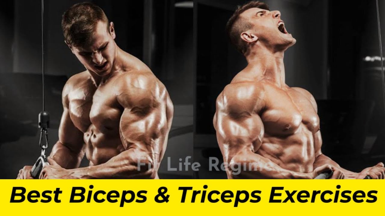 Best Arm Exercises To Build Bigger Bicep And Tricep