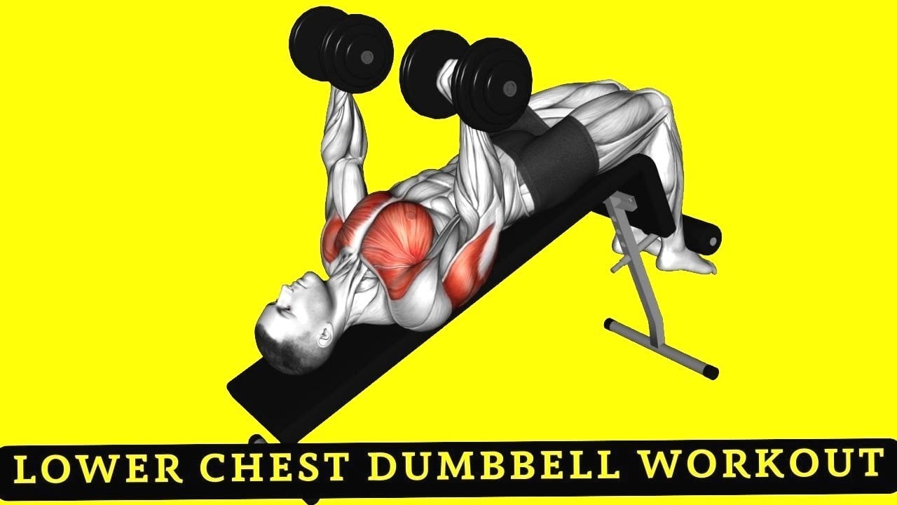 5 Best Lower Chest Dumbbell Exercises