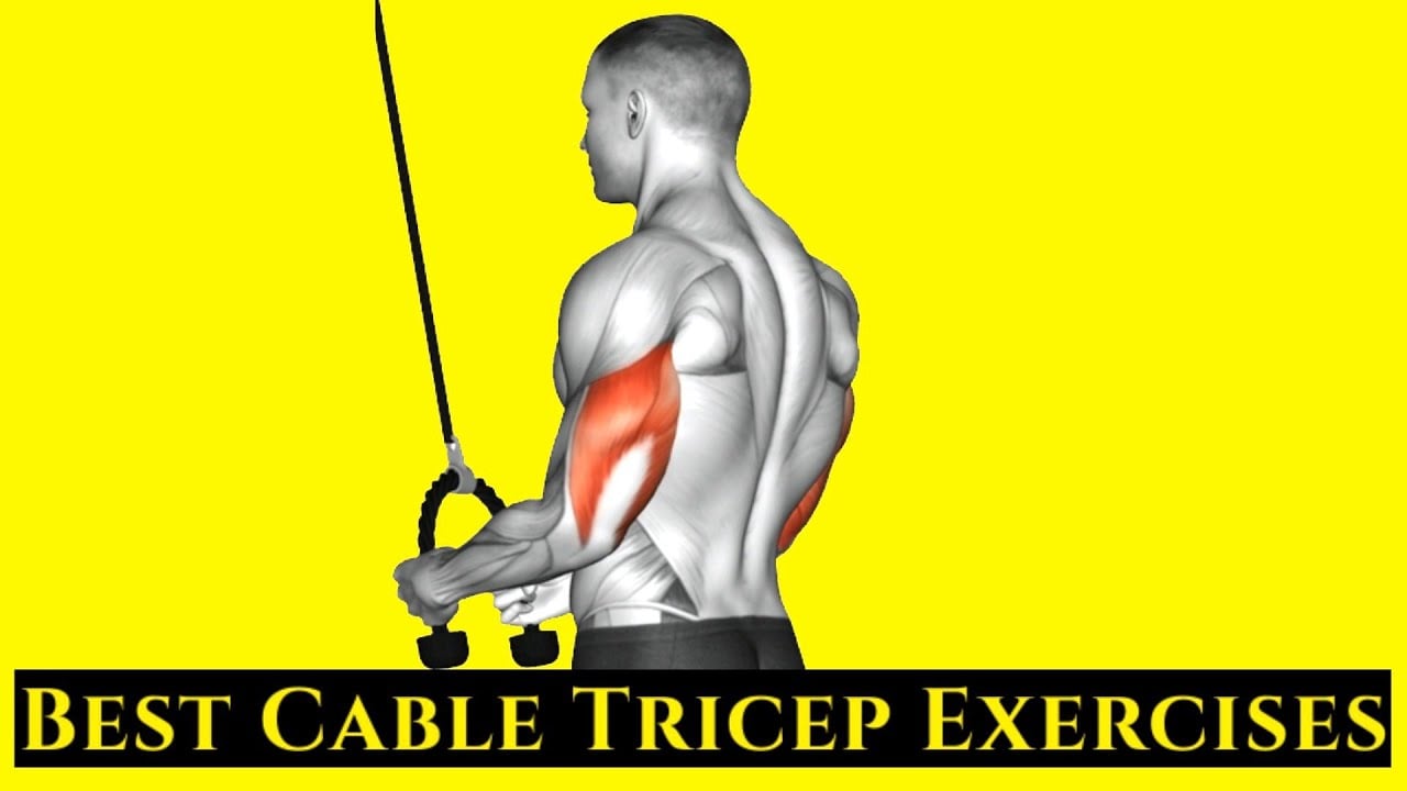 Best Cable Tricep Exercises for Strong and Defined Arms