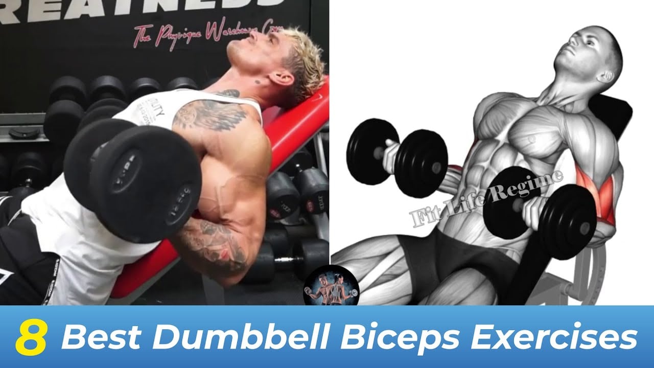 8 Best Dumbbell Bicep Exercises To Build Mass and Strength