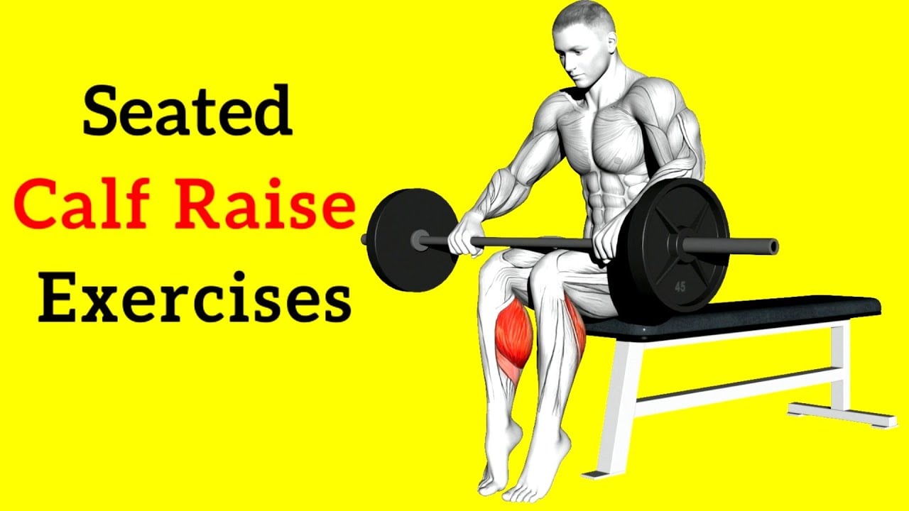 The 5 Best Seated Calf Raise Exercises to Tone Your Legs (Get the Perfect Calves)