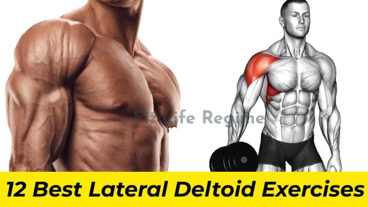 12 BEST LATERAL DELTOID (SIDE DELTOID) EXERCISES TO BUILD WIDE SHOULDER