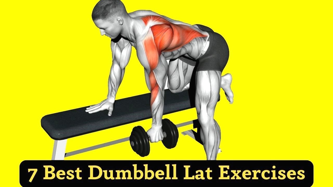 7 Best Dumbbell Lat Exercises (Build V- Shape Back)