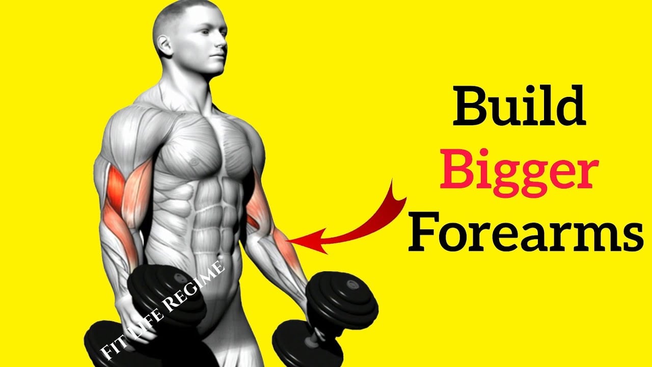 5 Most Effective BRACHIORADIALIS EXERCISES To Build BIGGER FOREARMS Best Technique