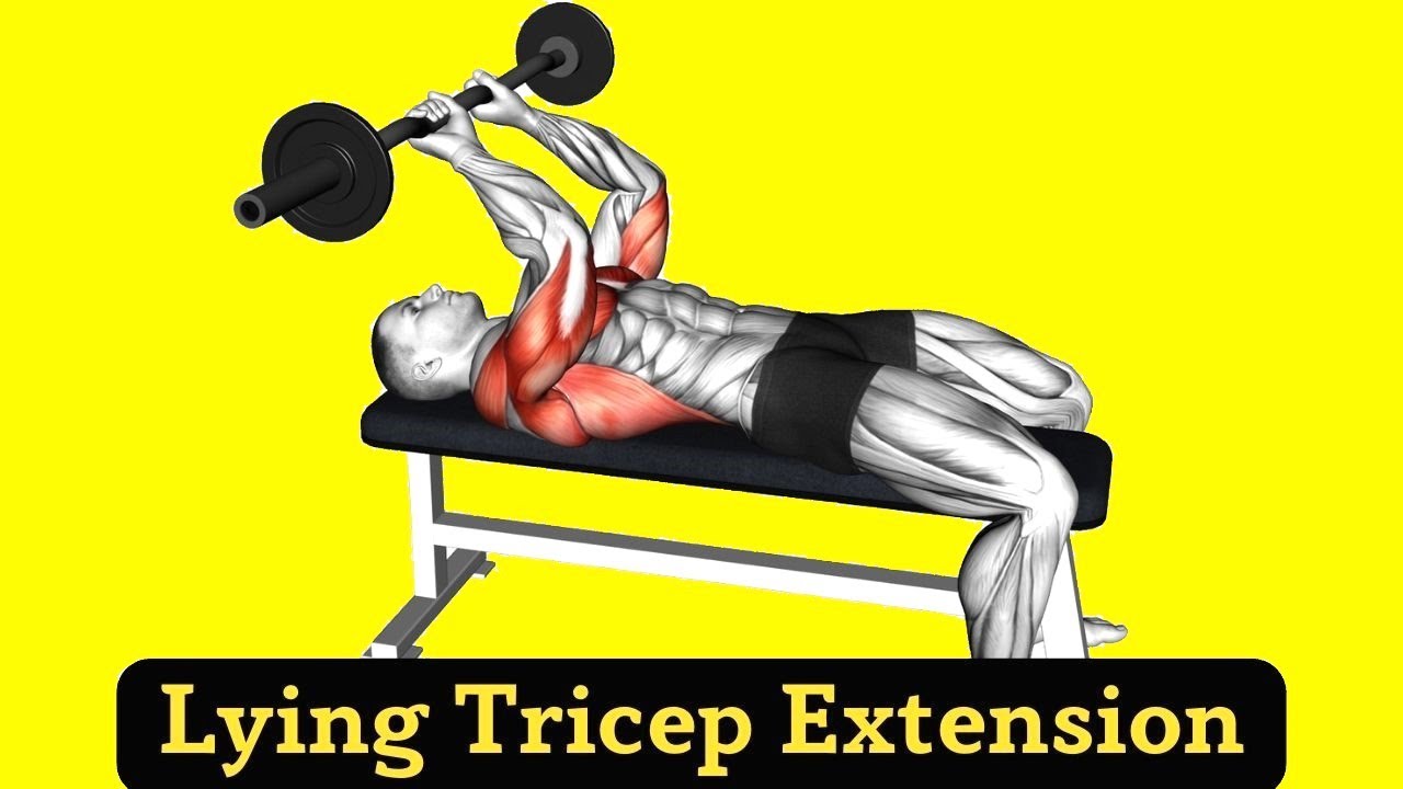 Lying Tricep Extension: Muscles Worked How to Do & Form