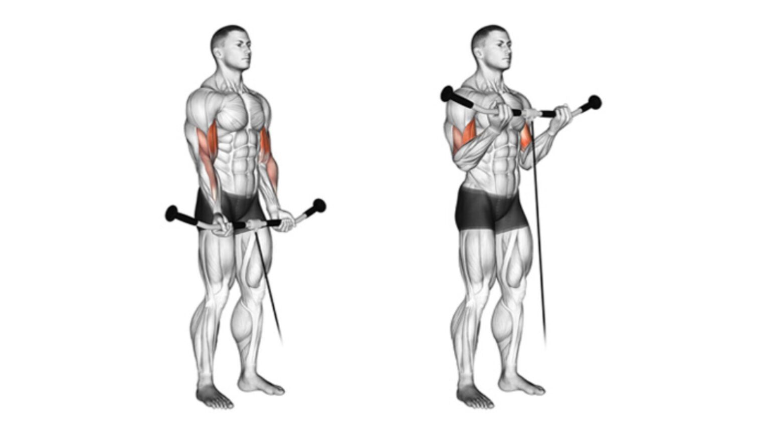 Сгибание разгибание бицепс в кроссовере