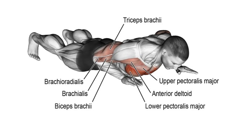 Narrow Grip Push-Ups