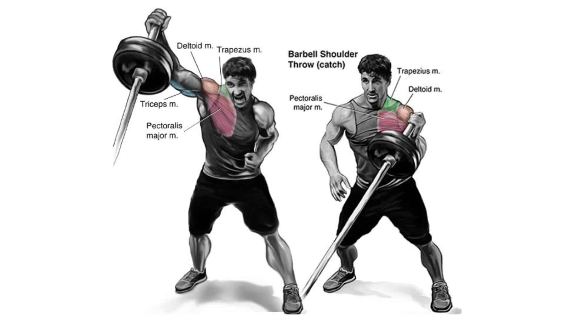 landmine-chest-press-muscle-worked-benefits-form