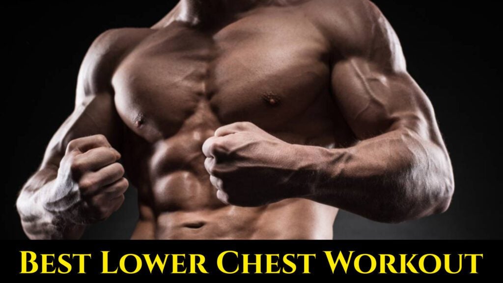 10 Best Lower Chest Exercises and Workout