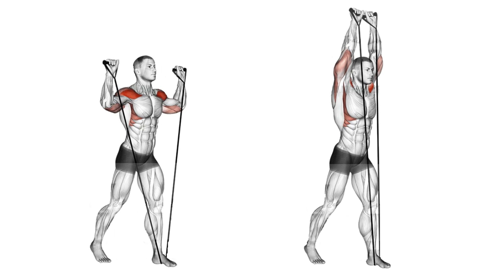 25 Best Rear Delt Exercises for Mass and Strength