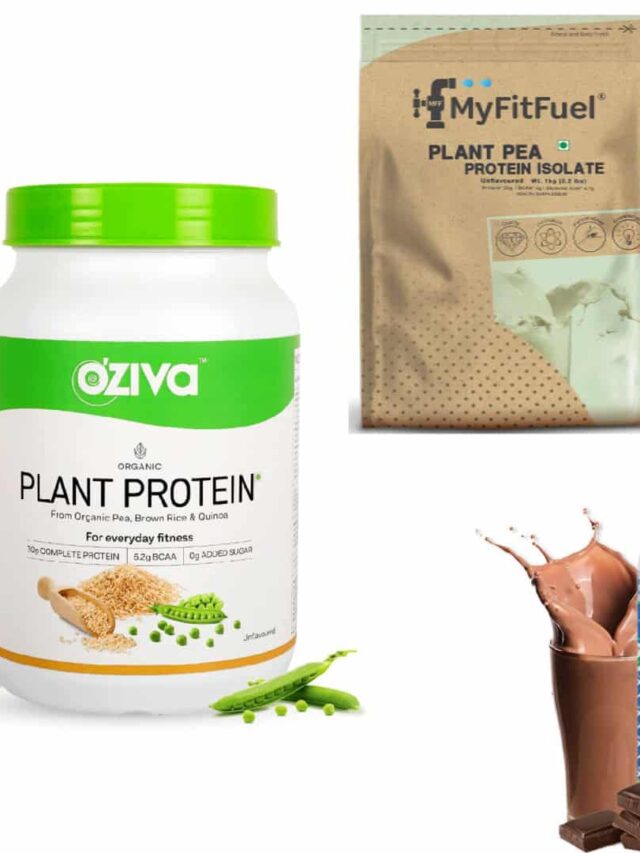 Best Plant Protein Powder in India