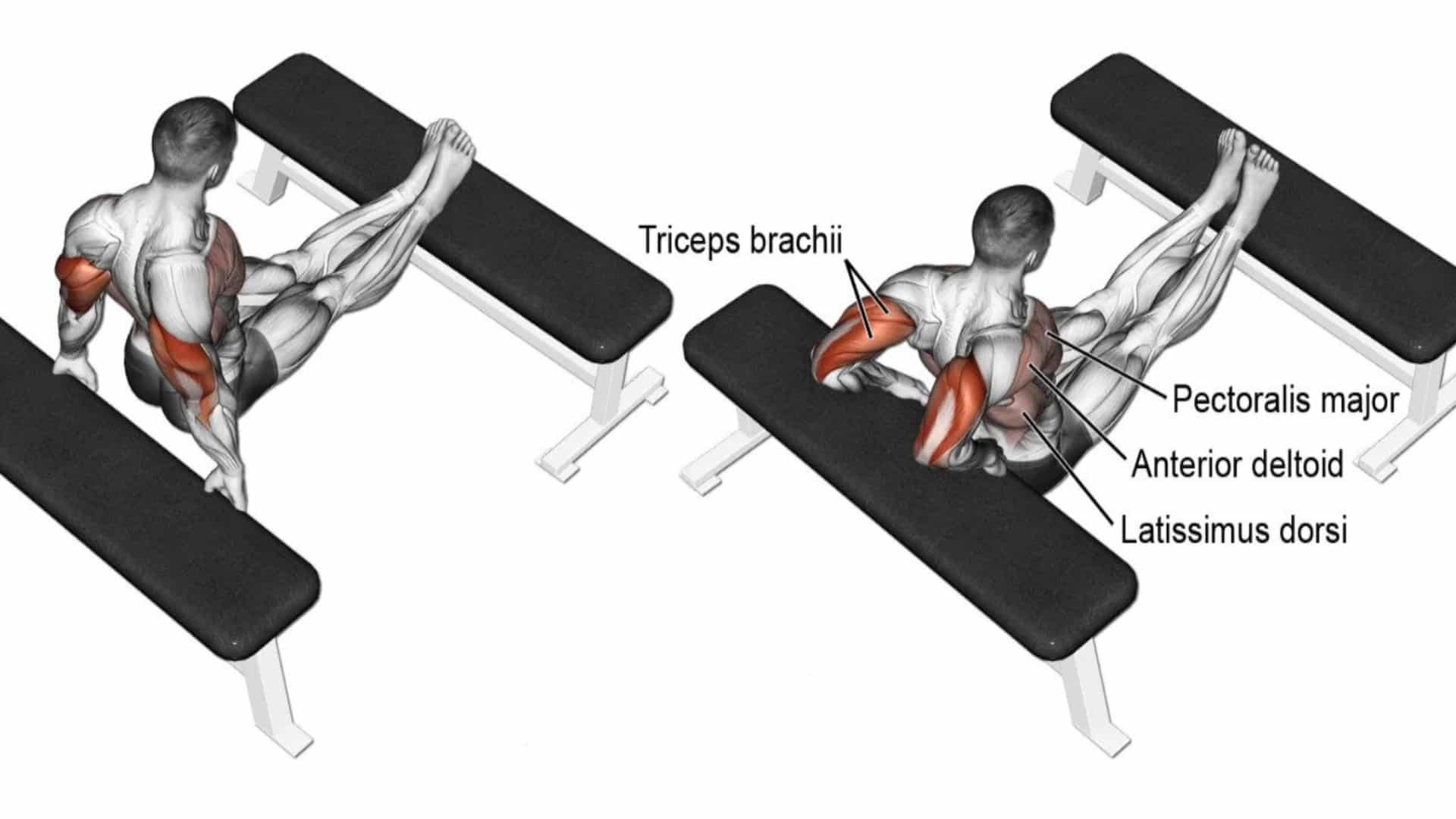 Bench Dip with Elevated Legs