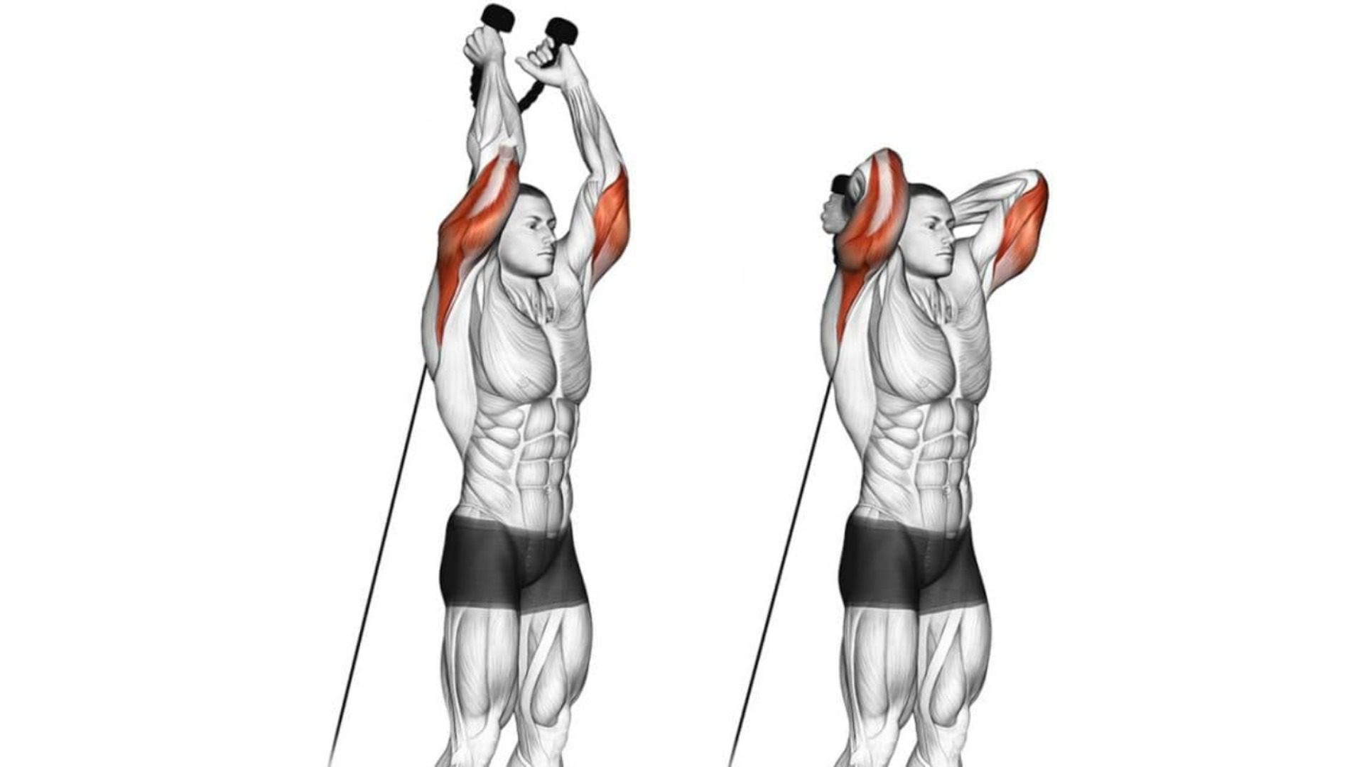 Cable overhead triceps extension
