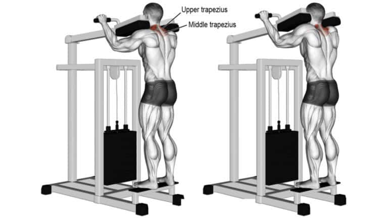 7 Best Gym Machines For Calves (With Calf Raise Exercises)